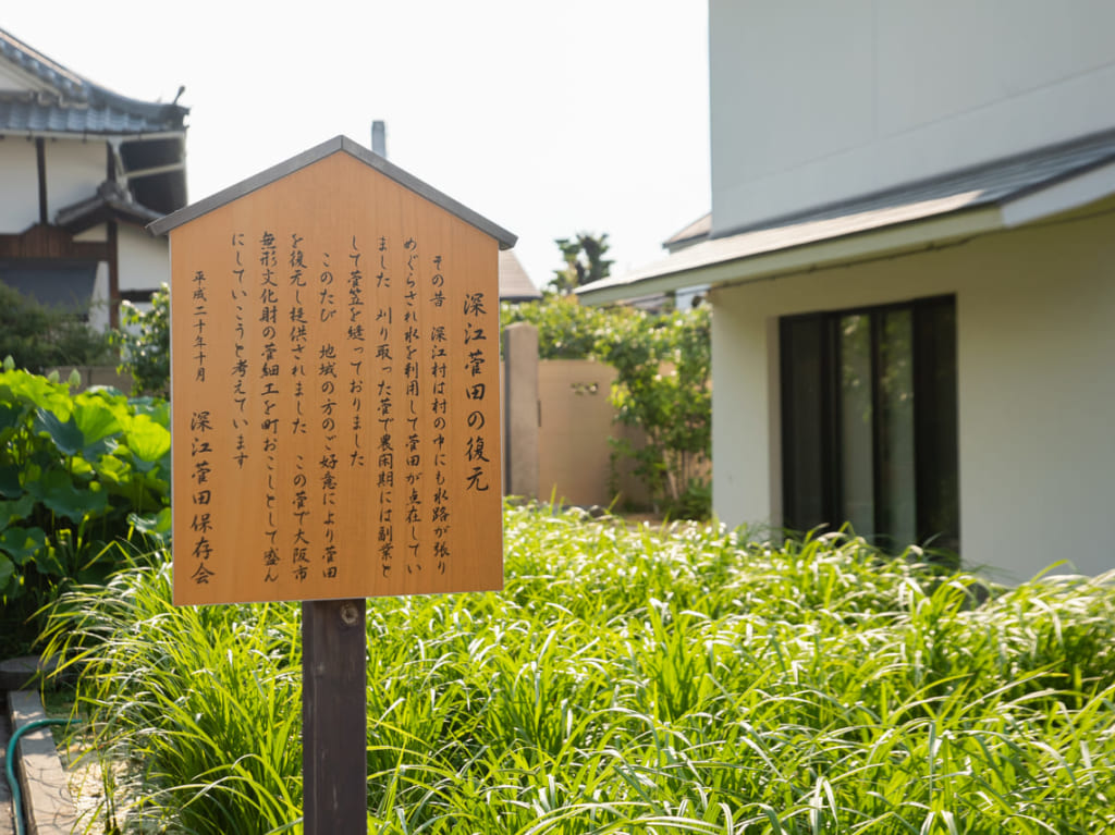 深江郷土資料館の菅細工