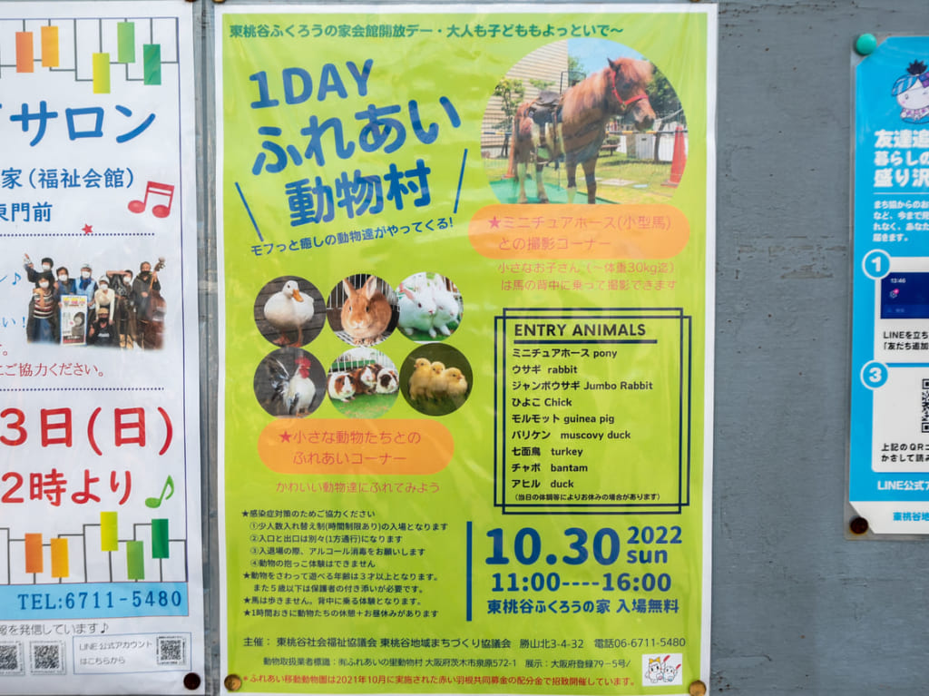 東桃谷ふくろうの家のふれあい動物村