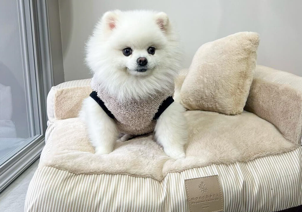 「Mon Bijoux」（モンビジュー）のウユちゃん