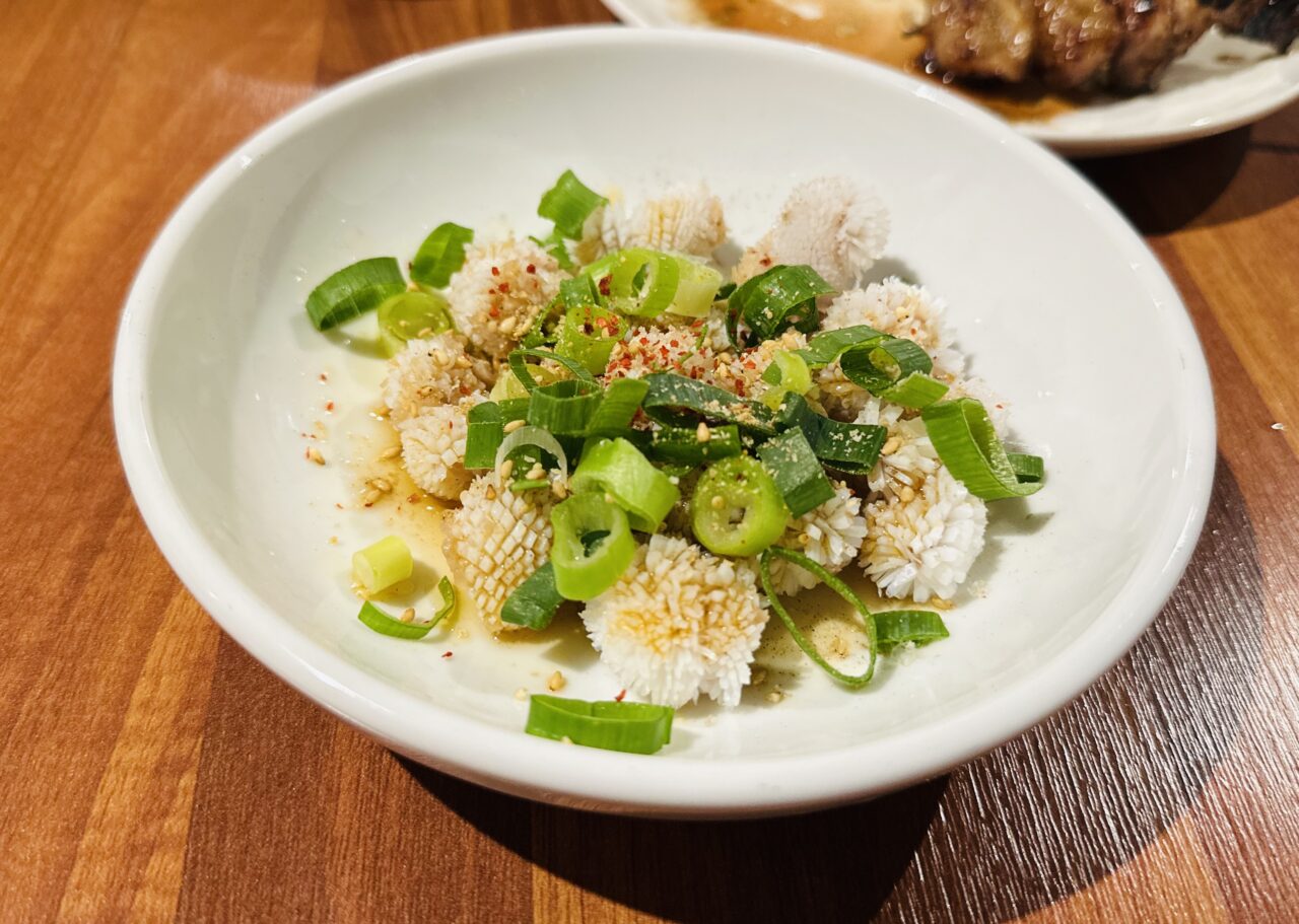 串源