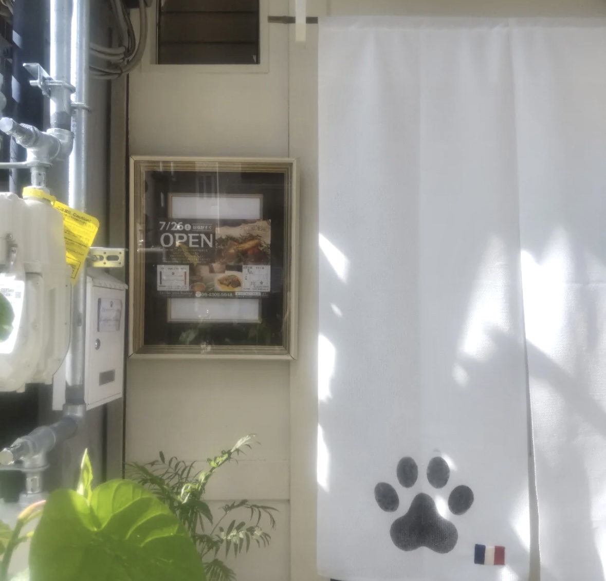 le-chat-porte-bonheur