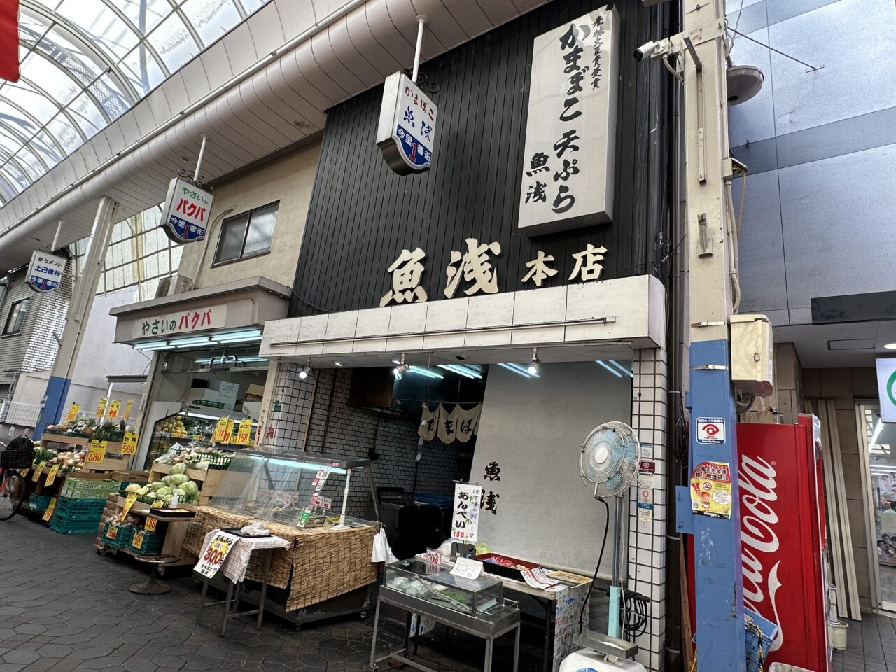 魚浅